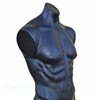 Torsos and Bodyforms
