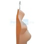 Female Body Form Skin