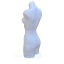 Female Plastic Torso White