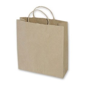 Large Brown Paper Bag 450x125x500 (pack 100)