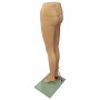 Fashion Female Leg Mannequin SD6 Skin 
