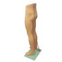 Fashion Male Leg Mannequin MH1 Skin 