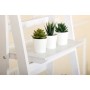 5 Tier Wooden Ladder Shelf Stand
