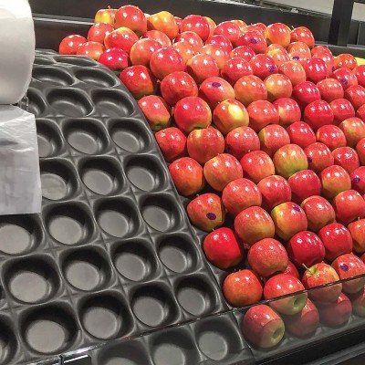 Fruit Separators