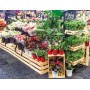 Wooden crate Large with spacings