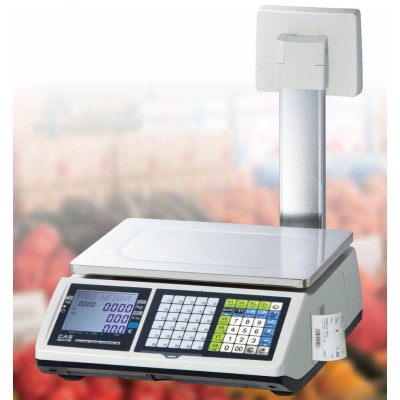 CAS CT100 Ticket Printing Scale