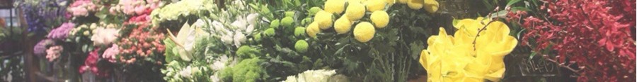 Flower Displays Australia - Flower Display Stands & Holders | Buy Now